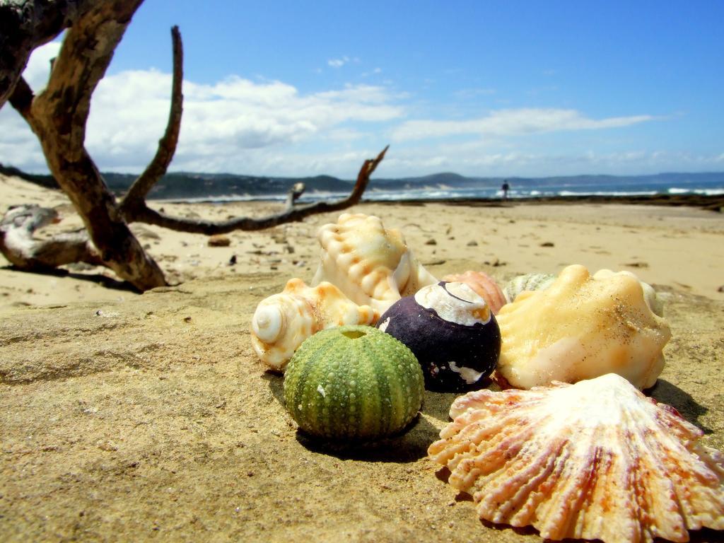 Buccaneers Beach Lodge, Chintsa, South Africa Bagian luar foto